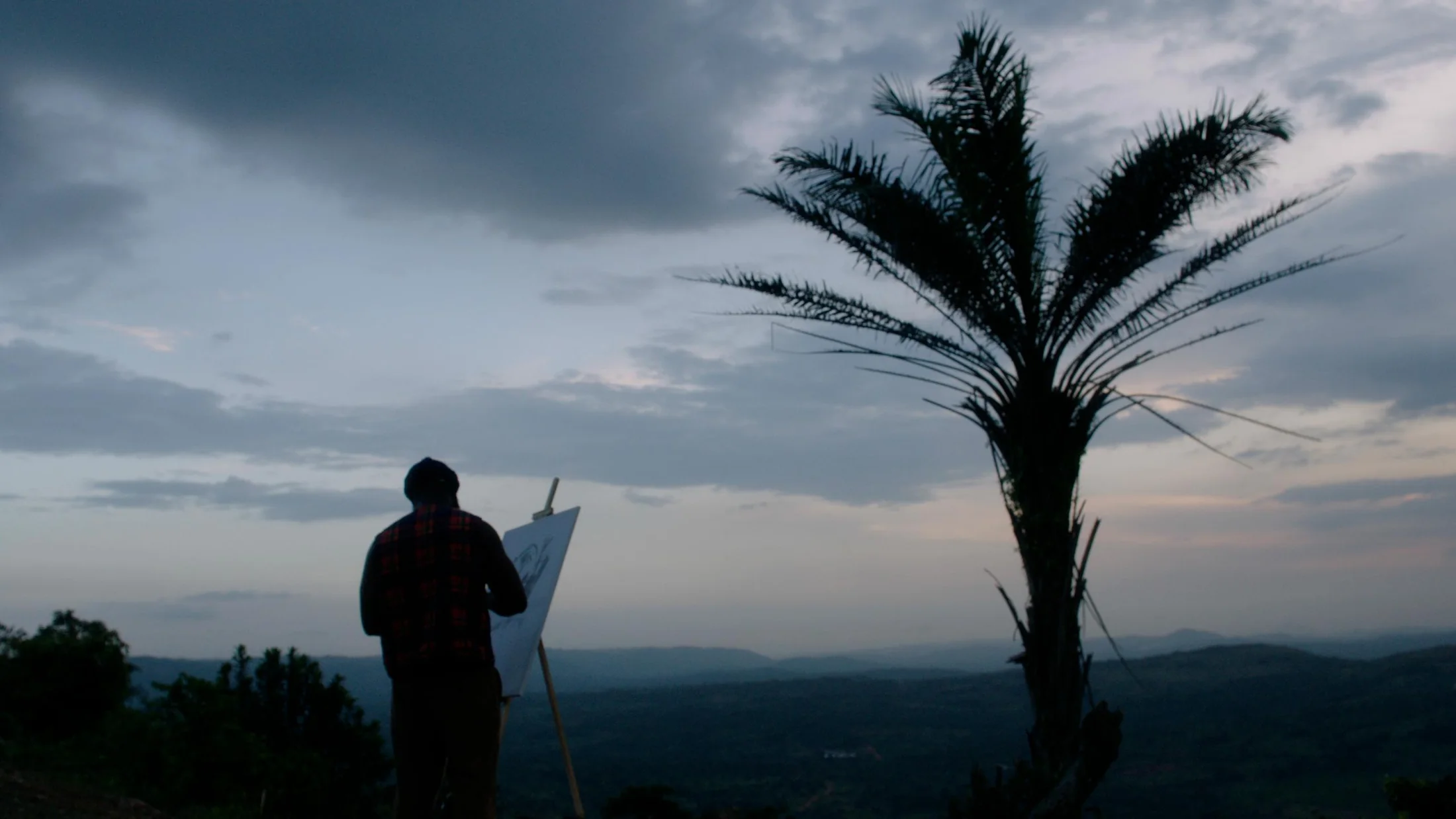 A lone figure standing beside a palm tree beneath a dramatic sky
